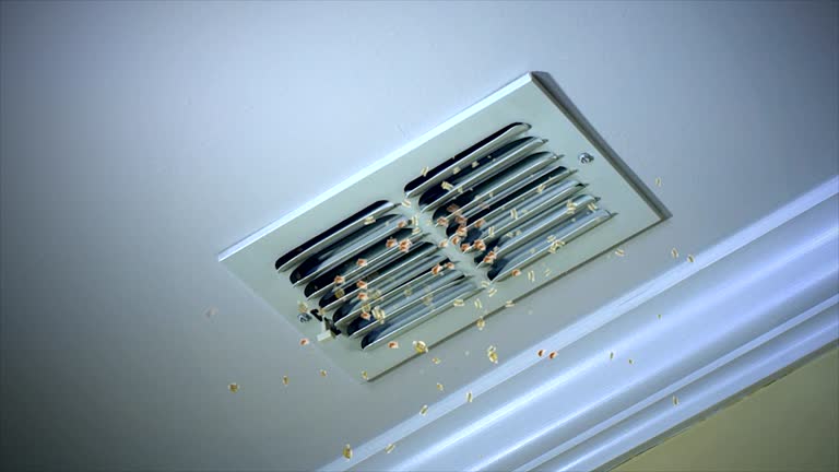 Best Ventilation Cleaning Services  in Shields, MI