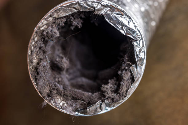 Best HVAC Duct Inspection Services  in Shields, MI