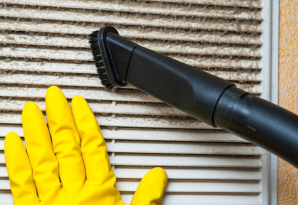 Best HVAC System Cleaning  in Shields, MI