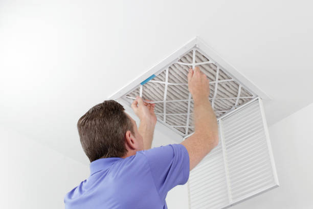 Best Duct Cleaning Specialists  in Shields, MI